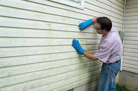 Best Vinyl Siding Installation  in Estelle, LA